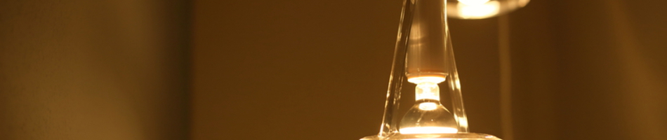 会社概要 / 求人情報