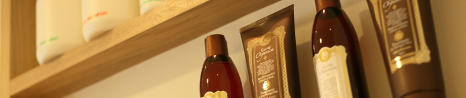 キャンペーン / 取扱い商品